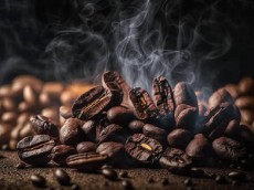  نوشیدنی | قهوه عربیکا و روبوستا