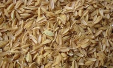  ضایعات | ضایعات برنج سبوس برنج پوسته برنج