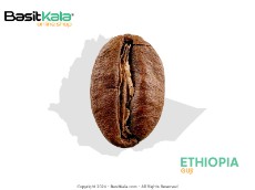  نوشیدنی | قهوه قهوه اتیوپی گوجی - عربیکا بسیط