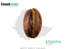  نوشیدنی | قهوه قهوه اتیوپی سیدامو - عربیکا بسیط