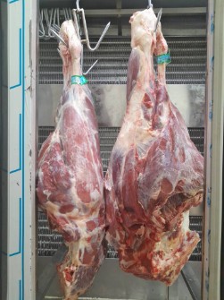  مواد پروتئینی | گوشت گوساله تازه