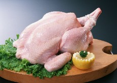  مواد پروتئینی | گوشت مرغ و گوسفند و گوساله