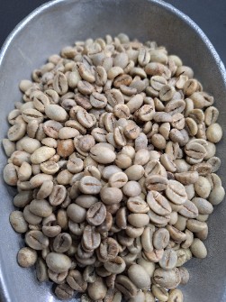  نوشیدنی | قهوه پخش وتوزیع دانه سبز قهوه عربیکا و روبستا