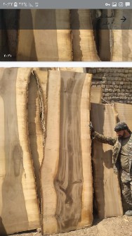  مصالح ساختمانی | چوب چوب ایرانی
