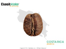  نوشیدنی | قهوه قهوه کاستاریکا - عربیکا بسیط