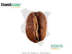  نوشیدنی | قهوه قهوه کنیا - عربیکا بسیط