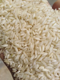  غلات | برنج برنج عنبر بو