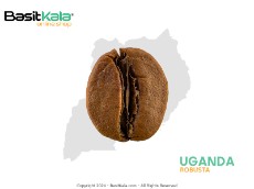  نوشیدنی | قهوه قهوه اوگاندا - روبوستا بسیط