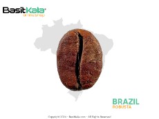  نوشیدنی | قهوه قهوه برزیل - روبوستا بسیط