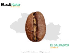  نوشیدنی | قهوه قهوه السالوادور - عربیکا بسیط