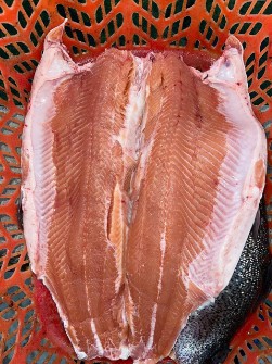  مواد پروتئینی | ماهی قزل آلا سالمون
