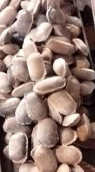  مواد معدنی | سایر مواد معدنی فلورین دانه بندی شده