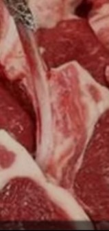  مواد پروتئینی | گوشت گوشت منجمد گوساله وگرم گوسفندی وارداتی