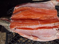  مواد پروتئینی | ماهی قزل آلای سالمونی