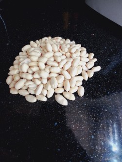  خشکبار | بادام بادام زمینی چینی بدون روکش