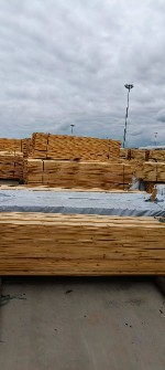  مصالح ساختمانی | چوب چوب نراد روسی ساسنا و یولکا،دونم و خشک