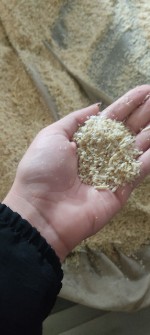  خشکبار | بادام خلال بادام تازه و با کیفیت
