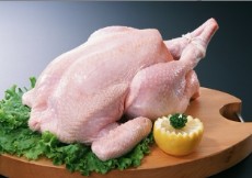  مواد پروتئینی | گوشت مرغ منجمد برزیلی سایز 1500