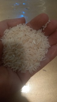  غلات | برنج طارم درجه یک