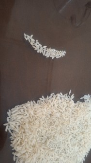  غلات | برنج طارم‌کشت‌دوم