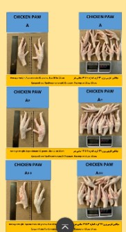  مواد پروتئینی | فرآورده گوشتی پا وپنجه مرغ