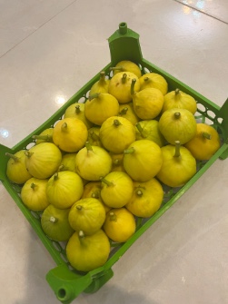  میوه | انجیر زرد