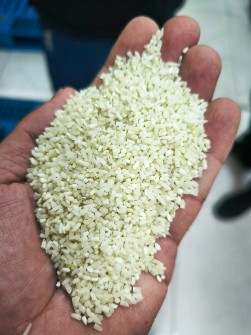  غلات | برنج لاشه