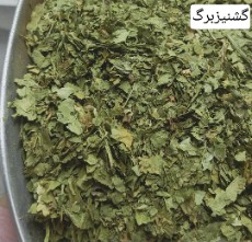  خشکبار | سبزی خشک گشنیز برگ