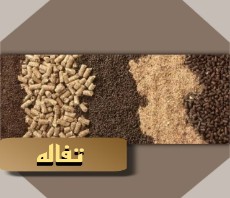  دامپروری | خوراک دام تفاله چغندر