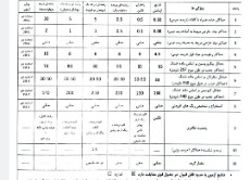  ادویه | زعفران زعفران سوپر نگین