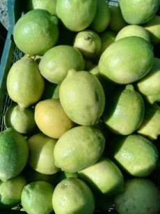  میوه | لیمو ترش مضافتی