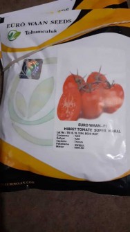  صیفی | گوجه بذر گوجه هیبریدی اف یک وارداتی