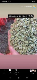  ادویه | آویشن آویشن