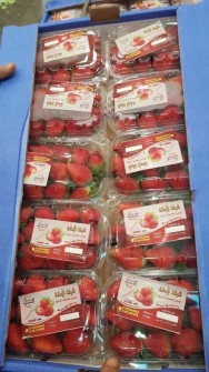  میوه | توت فرنگی توت فرنگی گلخانه ای کرج