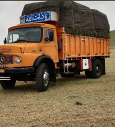  دامپروری | یونجه یونجه مرغوب